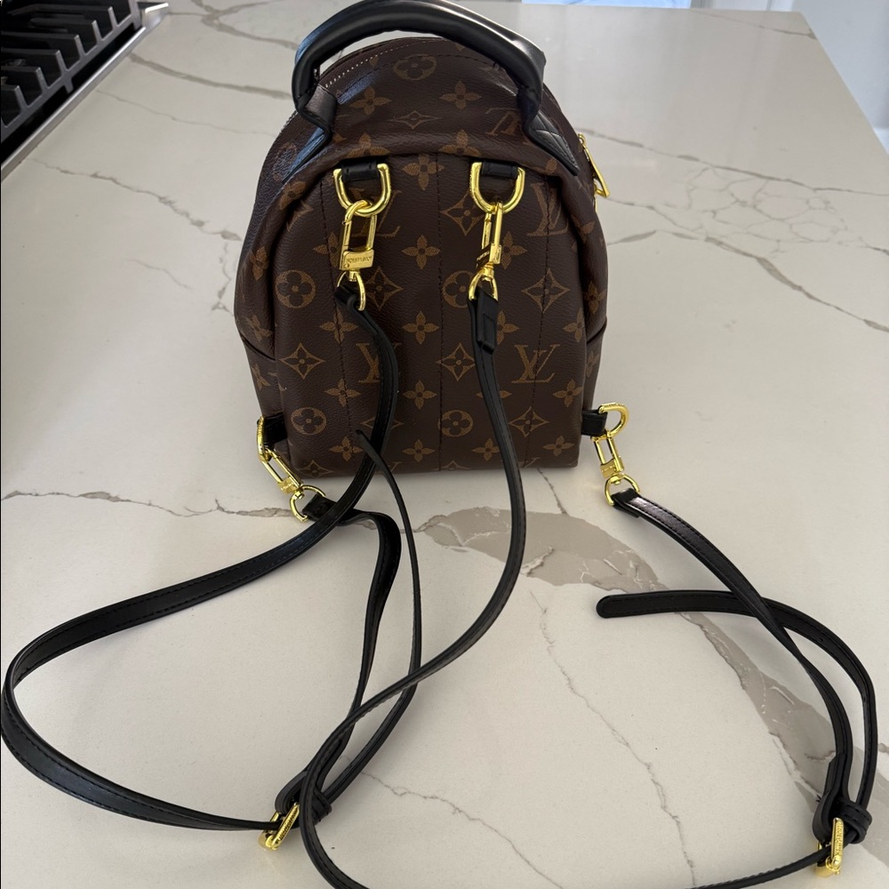Louis Vuitton Mini Monogram Palm Springs